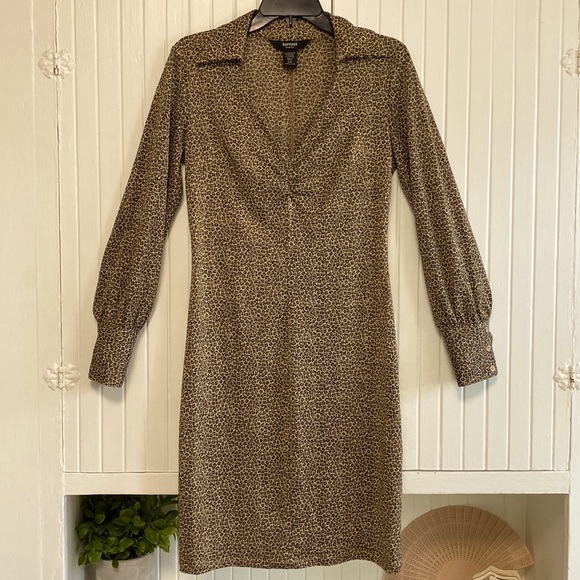 Express Vintage Stretch Dress - 5/6 (small) - Picture 8 of 9